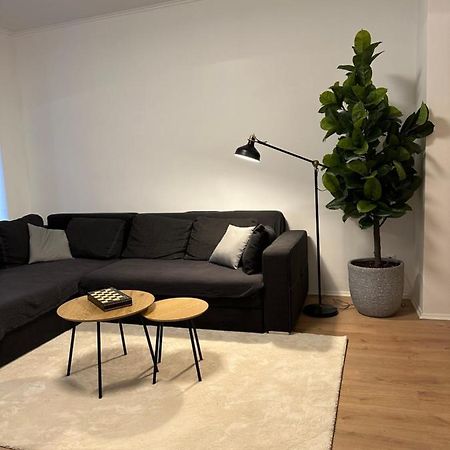 Ferienwohnung Haus Paraschiv Aue  Bagian luar foto